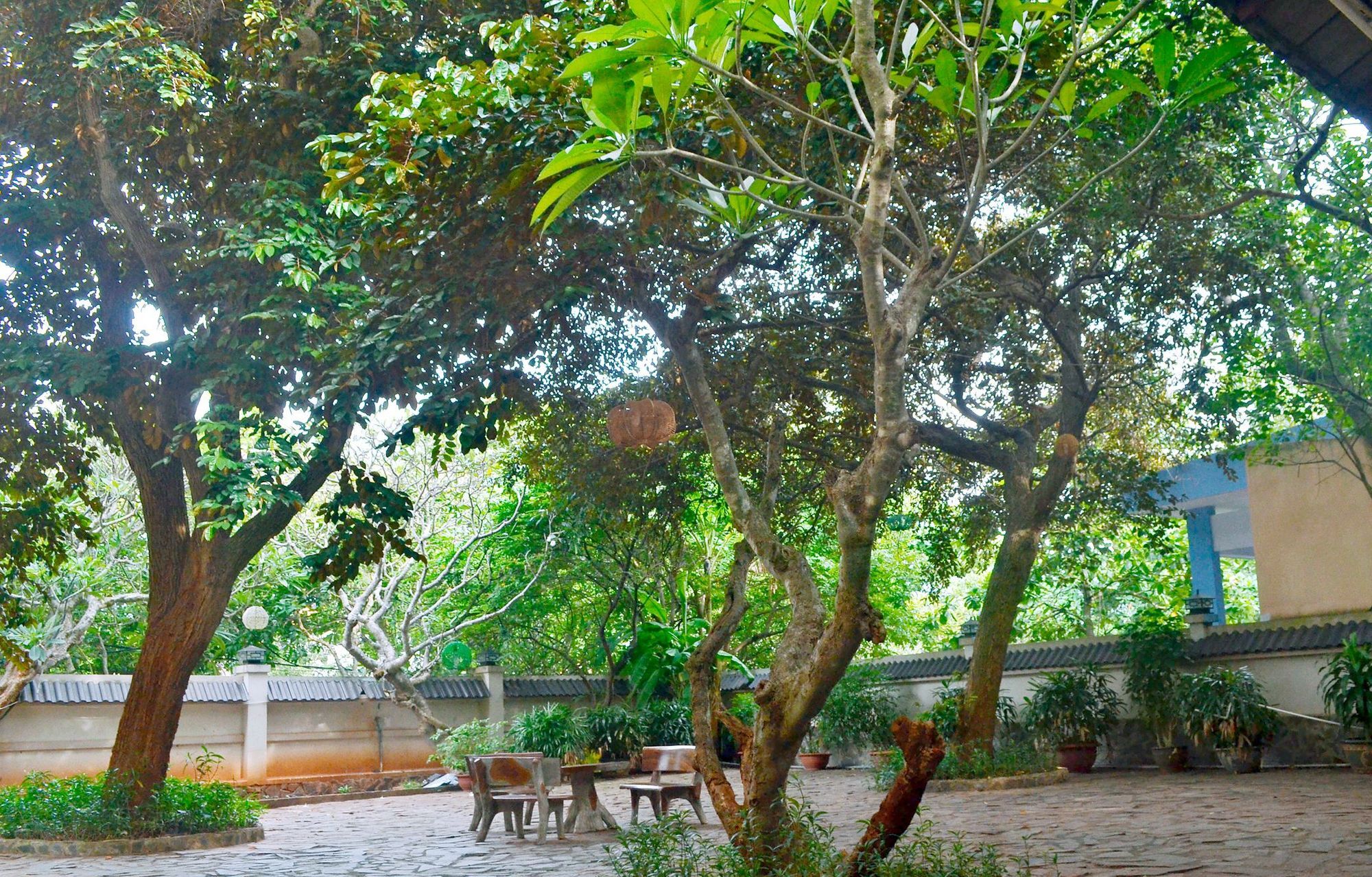 Lam Son Hotel & Apartments Vung Tau Exterior foto
